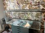 Glazen hamster kooi 120 cm met spullen en voer, Dieren en Toebehoren, Knaagdieren en Konijnen | Hokken en Kooien, Minder dan 60 cm