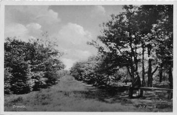 (387-239-003) Ermelo In t Bosch beschikbaar voor biedingen