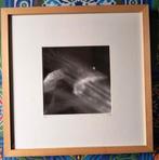 Michiel Knaven Zwolle abstract zwart wit foto uit 2011, Ophalen of Verzenden