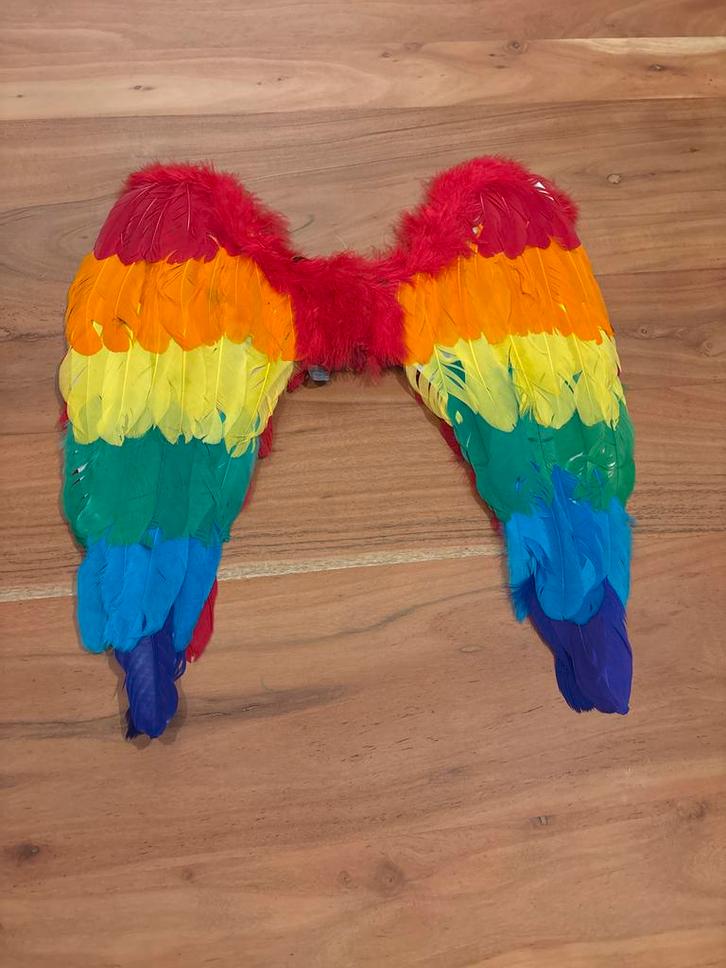 Regenboog Vleugels Kostuum Accessoire, Kleding | Dames, Carnavalskleding en Feestkleding, Zo goed als nieuw, Accessoires, Carnaval