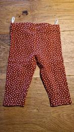 Bordeauxrood legginbroekje maat 68, Gebruikt, C&A, Broekje, Meisje