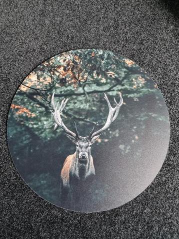 *MUURCIRKEL NIEUW VAN HERT IN HET BOS* -GRAAG OPHALEN- beschikbaar voor biedingen