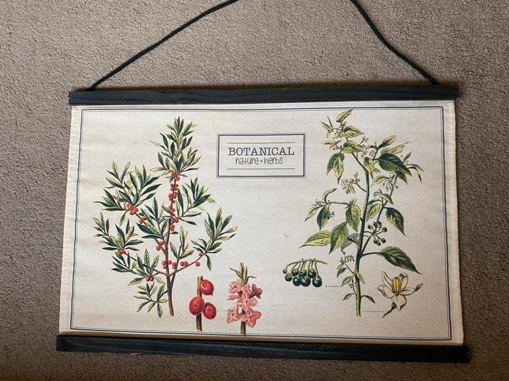 Botanische Schoolplaat - Natuur en Kruiden linnen, Antiek en Kunst, Antiek | Schoolplaten, Natuur en Biologie, Ophalen of Verzenden