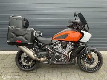 Harley Davidson RA1250S Pan America Special beschikbaar voor biedingen