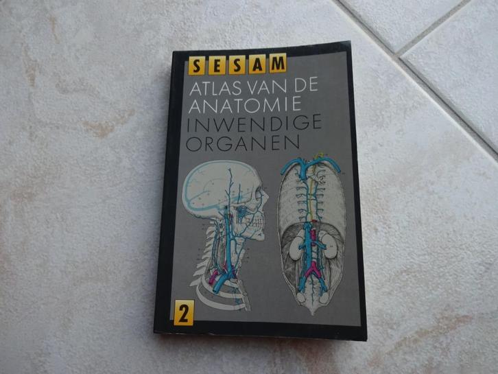 Atlas v.d. anatomie dl.2,inwendige organen, 12e dr., Boeken, Studieboeken en Cursussen, Zo goed als nieuw, HBO, Beta, Ophalen of Verzenden