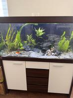 Eheim Aquarium, Dieren en Toebehoren, Ophalen, Gebruikt, Gevuld zoetwateraquarium