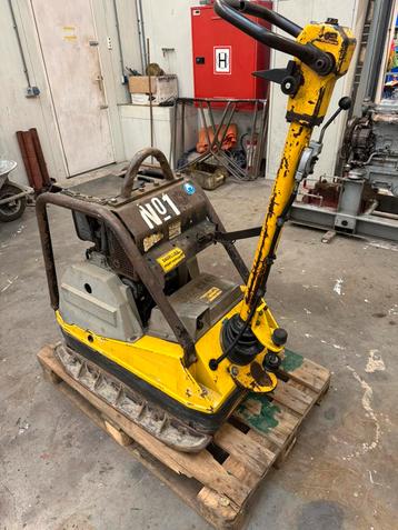 Wacker trilplaat dpu 6055 beschikbaar voor biedingen