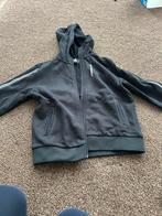 Karl Lagerfeld vest als nieuw, Trui of Vest, Ophalen of Verzenden, Zo goed als nieuw, Karl Lagerfeld