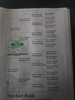 Postduif Marathon, Meerdere dieren, Postduif