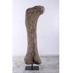 Dinosaurs Titanosaur Femur - Dinosaurus decoratie - 238 cm, Ophalen, Nieuw