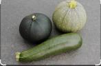Verse courgette, Ophalen