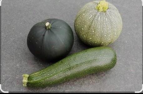Verse courgette, Diversen, Levensmiddelen, Ophalen