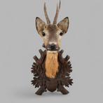 Muur plaquette met hertenkop+gewei, Antiek en Kunst, Ophalen of Verzenden