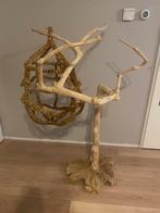 Javaboom + speelgoed, Dieren en Toebehoren, Vogels | Toebehoren, Ophalen, Zo goed als nieuw, Speelgoed