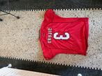 Grujic Matchworn FC Twente Voetbalshirt, Sport en Fitness, Voetbal, Maat XL, Ophalen of Verzenden, Zo goed als nieuw, Shirt