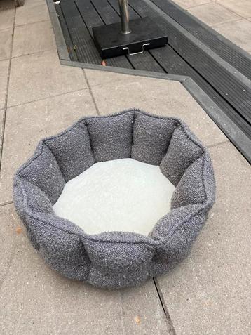 Katten mand scruffs beschikbaar voor biedingen