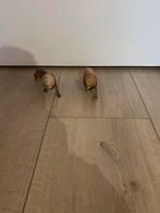 Twee Leeuwen Speelfiguren, Kinderen en Baby's, Speelgoed | Overig, Ophalen, Gebruikt, Jongen of Meisje