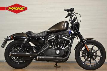 Harley-Davidson XL 883 IRON (bj 2020) beschikbaar voor biedingen