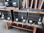 Broedkooien kweekkooien v. Vaderdag, Dieren en Toebehoren, Vogels | Hokken en Kooien, Ophalen, Nieuw, Hout, Broedkooi of Kweekkooi