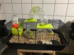 Hamsterkooi, Dieren en Toebehoren, Knaagdieren en Konijnen | Hokken en Kooien, Kooi, Zo goed als nieuw, Ophalen, Minder dan 60 cm