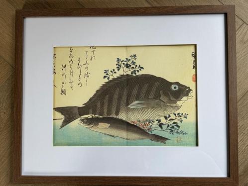 Japans - Grote Vis - oude plaat GROOT en Mooi, Antiek en Kunst, Kunst | Etsen en Gravures, Ophalen of Verzenden