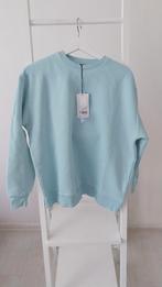 Na-kd Trui Trouquise Trui Oversized Maat XS, Kleding | Dames, Truien en Vesten, NA-KD, Blauw, Nieuw, Ophalen of Verzenden