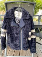 Giacomo Winterjas Maat M, Kleding | Dames, Ophalen of Verzenden, Zo goed als nieuw, Maat 38/40 (M), Blauw