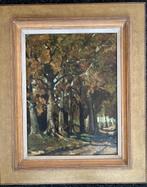 Piet in 't Hout - Bosgezicht, Ophalen of Verzenden