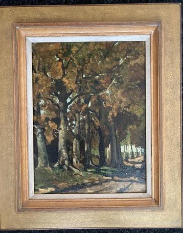 Piet in 't Hout - Bosgezicht beschikbaar voor biedingen