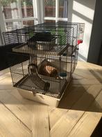 Hansterkooi, Kooi, Gebruikt, Minder dan 75 cm, Hamster