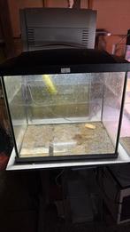 Superfish start 50, Dieren en Toebehoren, Vissen | Aquaria en Toebehoren, Ophalen, Zo goed als nieuw, Leeg aquarium