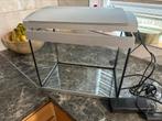 Aquarium met filter en lamp, Dieren en Toebehoren, Vissen | Aquaria en Toebehoren, Ophalen of Verzenden, Gebruikt, Leeg aquarium