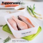 Tupperware 2x 1L igloo Alaska diepvriesdozen set voorraad, Huis en Inrichting, Keuken | Tupperware, Nieuw, Ophalen of Verzenden