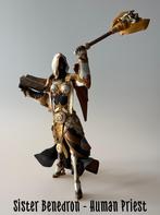 World of Warcraft Sister Benedron Human Priest, Ophalen of Verzenden, Zo goed als nieuw