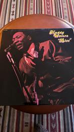 72. Muddy Waters / live, Cd's en Dvd's, Vinyl | Jazz en Blues, 1960 tot 1980, Ophalen of Verzenden, Zo goed als nieuw, 12 inch