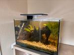 Superfish quadro 70 pro incl. CO2, Dieren en Toebehoren, Ophalen, Gebruikt, Gevuld zoetwateraquarium