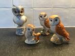4x porseleinen uil.2 Beswick Beatrix Potter’s Miquel Requena, Ophalen of Verzenden, Zo goed als nieuw, Dier