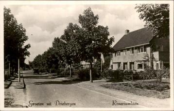 Driebergen - Groeten uit - Rosariumlaan beschikbaar voor biedingen
