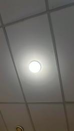 Plafondplaten, Doe-het-zelf en Verbouw, Platen en Panelen, Ophalen, Zo goed als nieuw, Overige materialen, Minder dan 20 mm