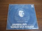 The blue ridge rangers john fogerty jambalaya, Cd's en Dvd's, Vinyl Singles, Gebruikt, 7 inch, Single, Ophalen of Verzenden