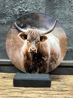 Foto op glas schaap Schotse Hooglander dieren, ., Nieuw, Ophalen of Verzenden, .