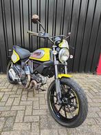 Ducati Scrambler Flattrack Pro, Bedrijf, Meer dan 35 kW, Toermotor, 803 cc