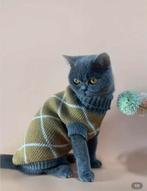 Katten trui gezocht maat L, Dieren en Toebehoren, Ophalen of Verzenden