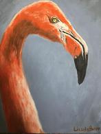 Flamingo, Ophalen of Verzenden