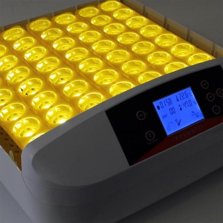 Automatische broedmachine 42 ei + Gratis broedeieren, Dieren en Toebehoren, Pluimvee | Toebehoren, Nieuw, Broedmachine, Ophalen of Verzenden
