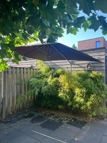Wandparasol 300cm antraciet beschikbaar voor biedingen