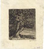 Jan Coenraad Nachenius ets "Oude Eik", gesigneerd, Antiek en Kunst, Kunst | Etsen en Gravures, Ophalen