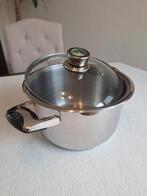 Grote RVS PAN // Inhoud 5 liter // Zeer Goede Staat, Ophalen of Verzenden, Rvs, Kookpan of Snelkookpan