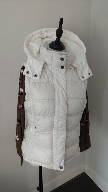 Bodywarmer met afneembare capuchon maat M beschikbaar voor biedingen