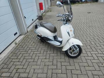 killerbee costum beschikbaar voor biedingen